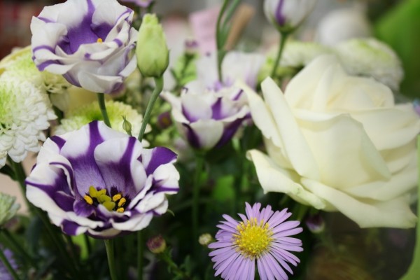 Artisans fleuriste | Montauban de Bretagne