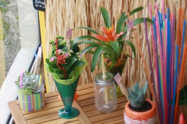 Plantes vertes, plantes fleuries | Artisan